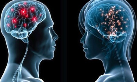 Incontro Distrettuale sul tema: Ha un sesso il cervello? Tavola rotonda di neuroscienze
