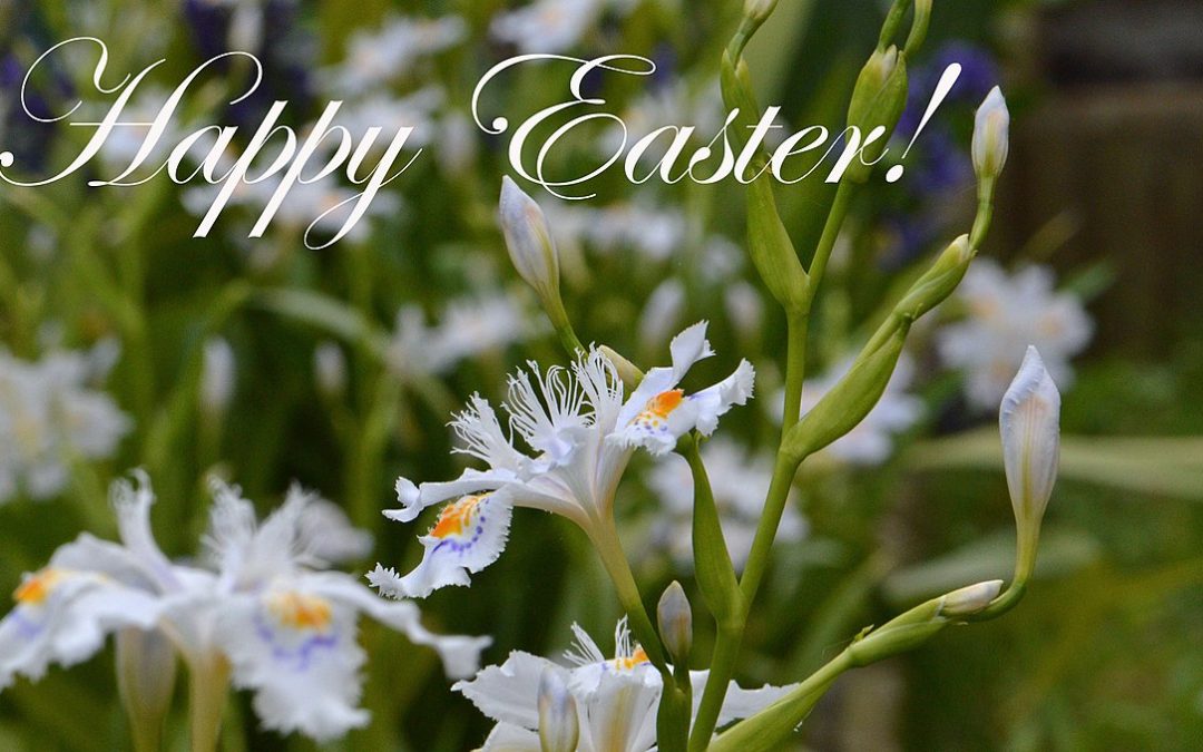 Auguri di Buona Pasqua
