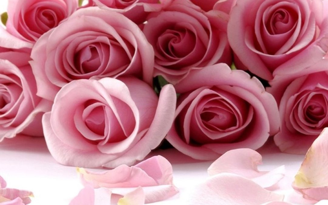Giornata nazionale della salute della Donna